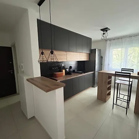 Apartment Lux Stan Karaburma